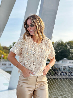 Eline |  Fluwelen Pailletten Blouse